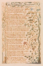 On Anothers Sorrow, plaque 24 de Songs of Innocence, 1789